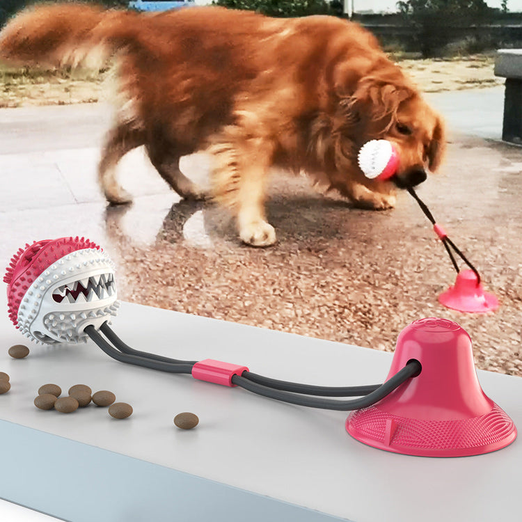 InterPet™️ Sucker drawstring ball