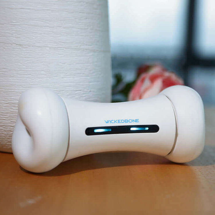 Crazy Bone Driven Board Smart Pet Toy