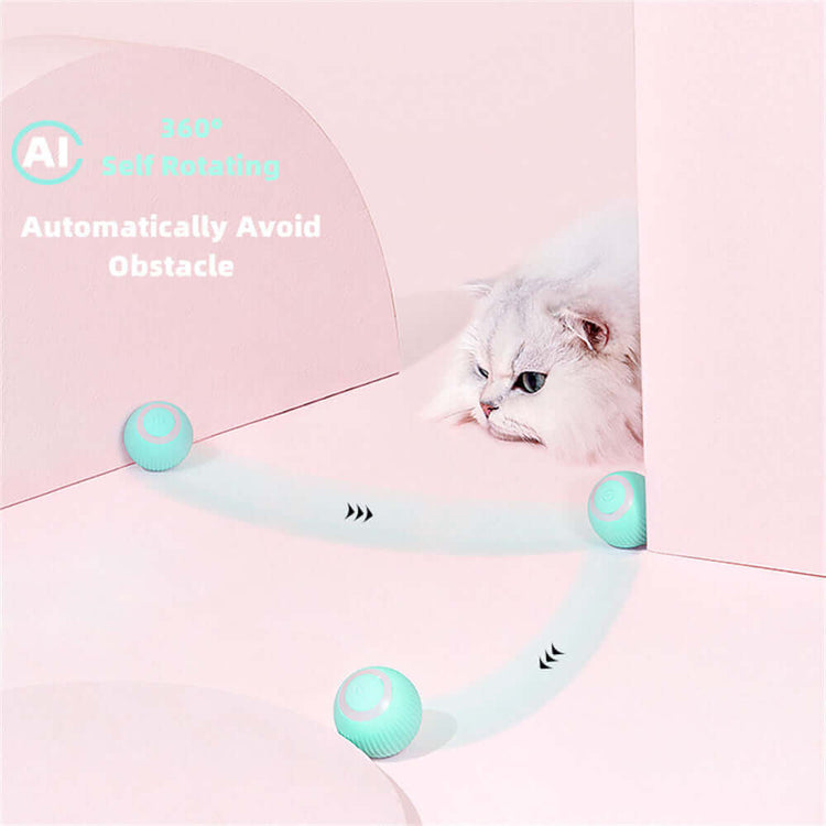 Cat Intelligent Rolling Ball