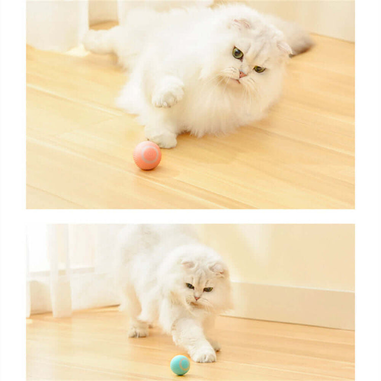 Cat Intelligent Rolling Ball