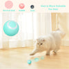 Cat Intelligent Rolling Ball