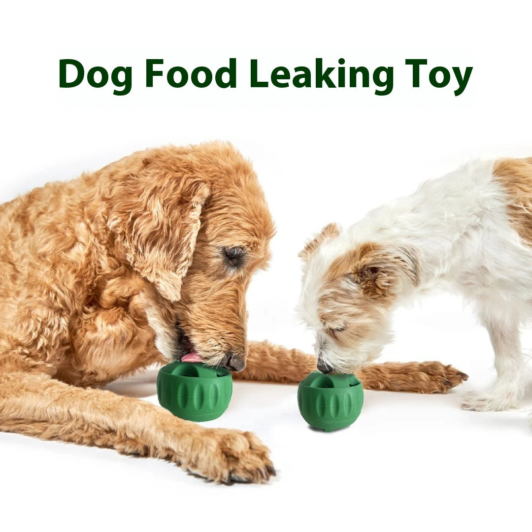 InterPet™️ Silicone Molar Food Leakage Toy